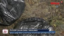 Polonya’da ölüleri çalan zanlı yakalandı