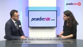 Mikro ifade analizi resmi olarak geçerli mi?