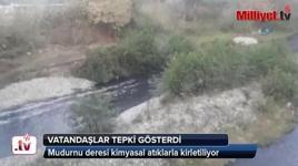 Mudurnu deresi kimyasal atıklarla kirletiliyor