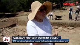 Söylentilere inanan defineciler kazı alanını talan etti