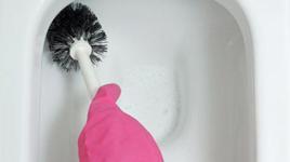 Ev yapımı tuvalet temizleyici