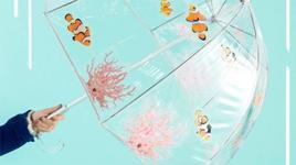 Akvaryum Şemsiye Nasıl Yapılır?