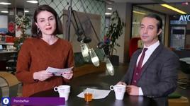 Apiterapi hangi hastalıkların tedavisinde kullanılır?