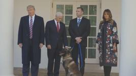 Trump'tan Bağdadi operasyonunda görevli köpeğe plaket ve madalya