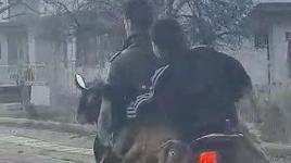 Motosiklette 2 keçi, 2 insan