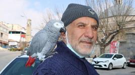 14 yıldır papağını omzundan indirmiyor