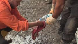 Selde çamurun altında kalan Türk bayrağını yıkayıp öperek yeniden astılar