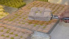Soğuk baklava satışları ikiye katlandı