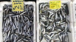 Lodos tezgahları da vurdu, en ucuz balık istavrit oldu