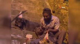 Evsiz adam doğum gününü köpeklerle kutladı