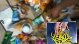 Tantunicide skandal görüntü! Çöpten toplayıp müşteriye yedirdi