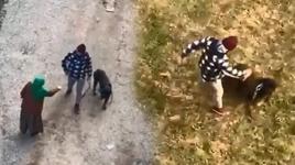 Köpeğe tekme atan gence, 'Bana vur bana' diyerek tepki gösterdi