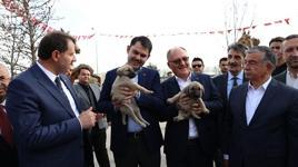 Bakan Kurum’a Sivas’ta ok seti ve Kangal yavrusu hediye edildi