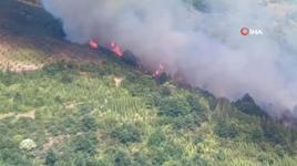 Ormanlık alanda yangın çıktı, söndürme çalışmaları devam ediyor