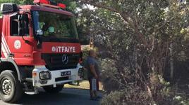 Kocaeli'de çıkan orman yangını kontrol altına alındı