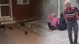Adana'da vahşet! Genç kadın, başı taşla ezilerek öldürüldü