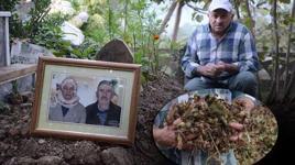 Annesinin kaybolan altın dişlerini getirene 2 ton fındık verecek