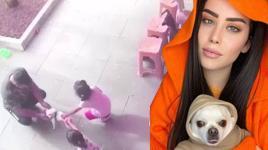  Yavru köpeği önce sevdiler, sonra çaldılar