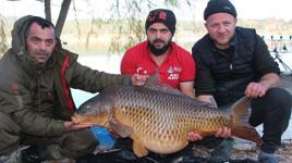 Türkiye'nin en büyük sazanı Bilecik'te yakalandı