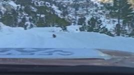 Ekipler, köpeği takip ederek yardım bekleyen köye ulaştı