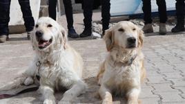 'Poyraz' ve 'Köpük' 8 kişinin sağ çıkarılmasını sağladı