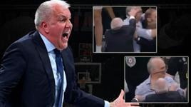Zeljko Obradovic çılgına döndü! Sevinen taraftara vurdu