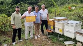 Bal arıları petek üzerinde ‘Allah’ yazısı oluşturdu