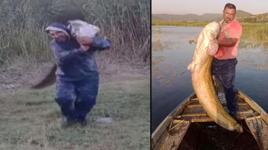 Dev balığı sırtlayıp böyle taşıdı! Boyu 2 metre...