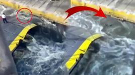 Arabalı vapurdan denize attı! Ölüm göz göre göre geldi