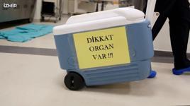 Yeni ciğerle ilk nefes! Bakan Koca, 'organ bağışı'nın önemine dikkat çekti