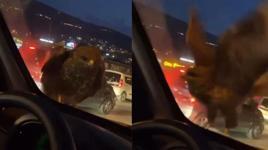 Seyir halindeki araca şahin kondu 