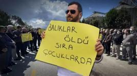  Sakarya'da bir mahalle ayakta: Balıklar öldü, sıra çocuklarda! 