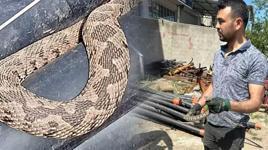  Yer: Çanakkale! Panikle telefona sarıldılar: Su borusunun içinden çıktı 