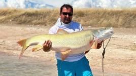 Elazığ'da 39 kiloluk dev Fırat turnası yakalandı 