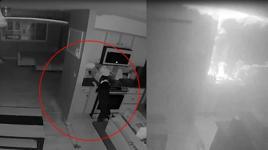 ABD'de ocağı çalıştıran bir köpek, sahibinin evinde yangın çıkmasına yol açtı