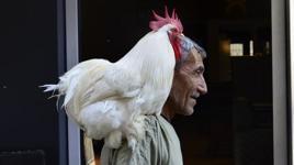 Gören dönüp bir daha bakıyor