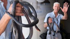 'Yılancı Osman'ı yılan ısırdı: Koynumda bile besliyorum, yılanlarla yatıp kalkıyorum