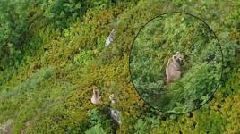 Yer: Rize! Görüntülendiğini anlayınca poz verdi