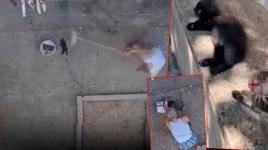 İnfial yaratan görüntüyü böyle savundu! 3 yavru kediyi mutfağına girdiği için öldürmüş