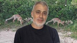 Gören şaşkına dönüyor! 'Tilki bizim yayla komşumuz'