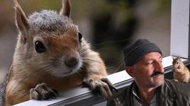 Tarlada çalışırken karşılaştığı sincap hayatlarını değiştirdi!