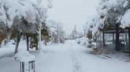 Bolu ve Malatya!'da kar yağışı etklili oldu