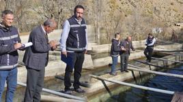 Bu sefer Van'da görüldü! Ortaya çıkan manzara şaşkına çevirdi