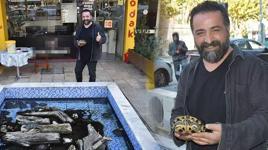 İzmirli fotoğrafçı, yılda 500 kaplumbağayı dükkanın önündeki havuzda besliyor
