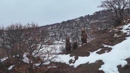 Yer: Tunceli! Önce poz verdiler sonra kayboldular