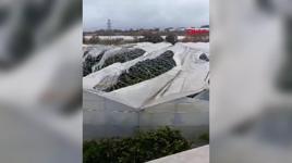  Fırtına ve yağış, Manavgat'ı vurdu