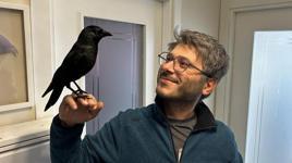 Doktorun karga ile olan dostluğu şaşırtıyor 