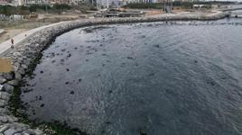İskenderun'da endişelendiren görüntü: Deniz çekildi