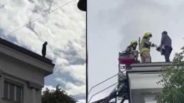 Milletvekili meclis çatısına çıkıp intihar girişiminde bulundu