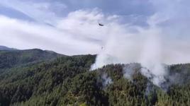 Kahramanmaraş'ta orman yangını! Ekipler harekete geçti